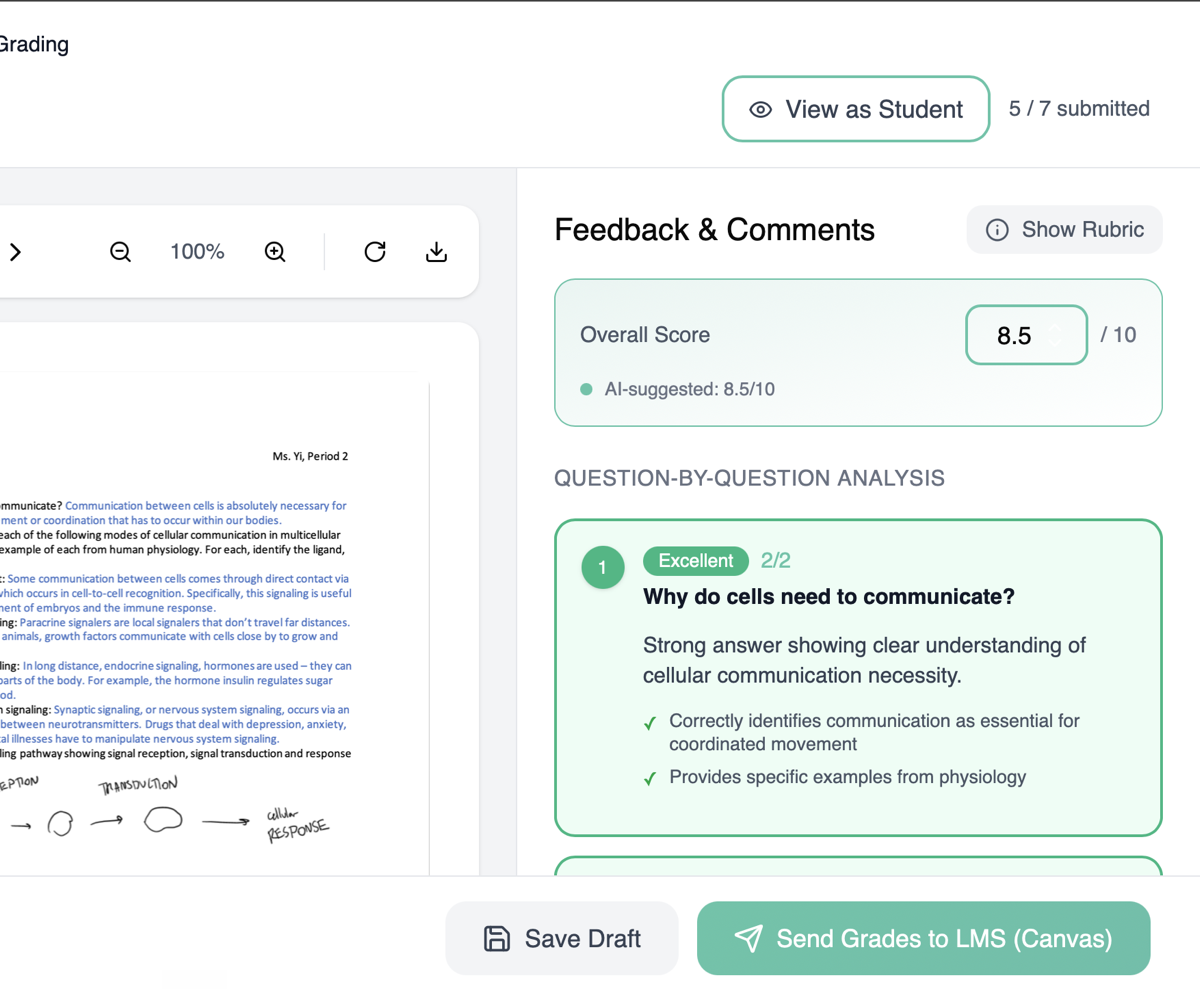 Magistri grading interface showing AI-assisted worksheet feedback